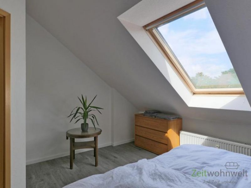 Dresden (EF1065_M) Dresden: Äußere Neustadt, preiswertes, neu eingerichtetes 1,5-Zimmer-Apartment mit Gartennutzung Wohnung mieten