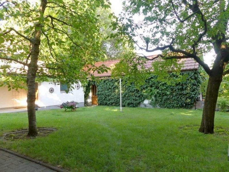 Dresden (EF0338_M) Dresden: Klotzsche, möbliertes Apartment in ruhigem Wohnhaus mit grünem Garten, an Wochenendheimfahrer Wohnung