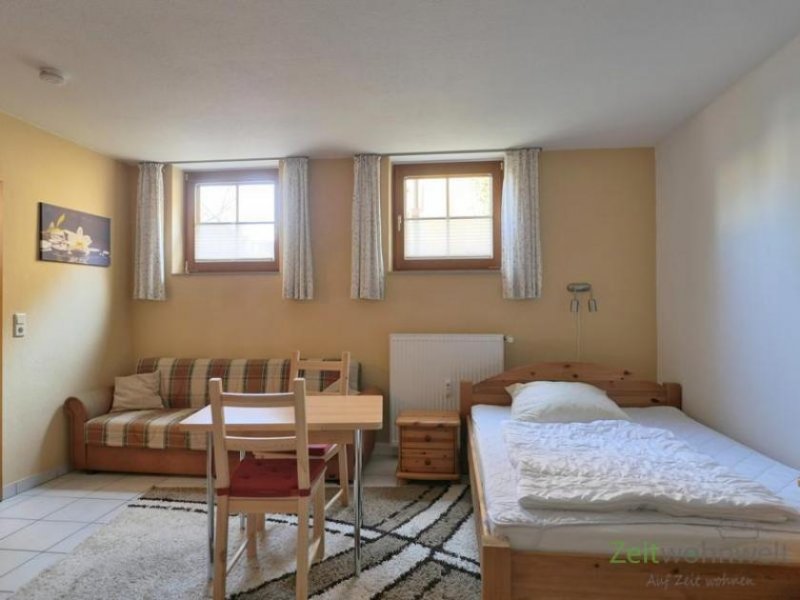 Dresden (EF1385_M) Dresden: Mickten, möbliertes Apartment im Hinterhaus mit separatem Hauseingang, an Wochenendheimfahrer Wohnung