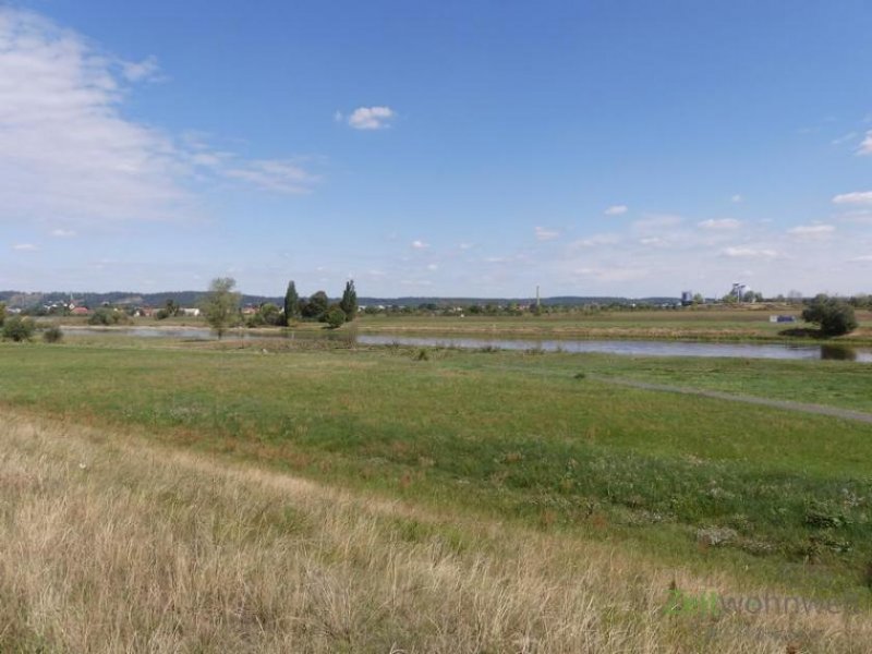 Dresden (EF0542_M) Dresden: Briesnitz, kleine möbl. 2-Zimmer-Wohnung in einem ruhigen Haus mit Garten, Reinigungsservice möglich