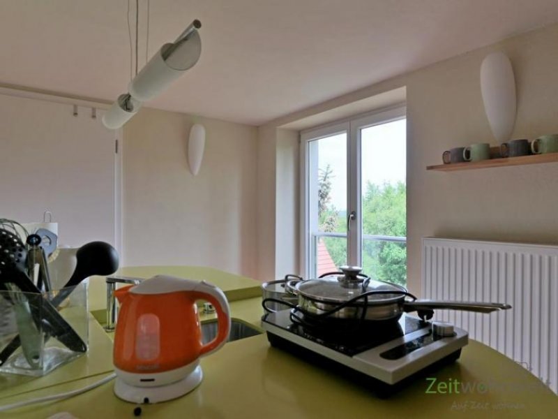 Dresden (EF0920_M) Dresden: Briesnitz, möbliertes Dachgeschoss-Apartment über 2 Etagen, Linoleumböden, echter Kamin, WLAN Wohnung