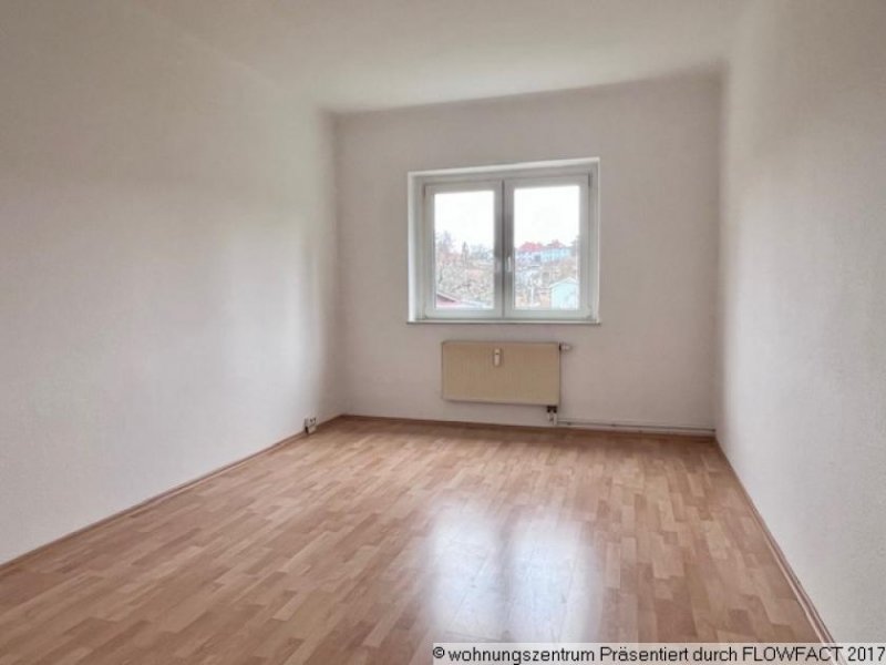 Dresden Hübsche helle 3-Zimmer-Wohnung, Wannenbad, geräumige Küche, frisch gemalert! Wohnung mieten