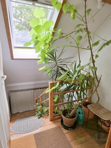 Dresden (EF0615_M) Dresden: Kleinzschachwitz, urige, möblierte 2-Zimmer-Wohnung mit Klimaanlage, ruhige grüne Wohnlage Wohnung mieten