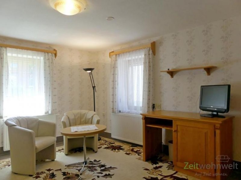 Dresden (EF0401_M) Dresden: Laubegast, vollmöbliertes Apartment mit Dusche, TV, WLAN, fast barrierefrei Wohnung mieten