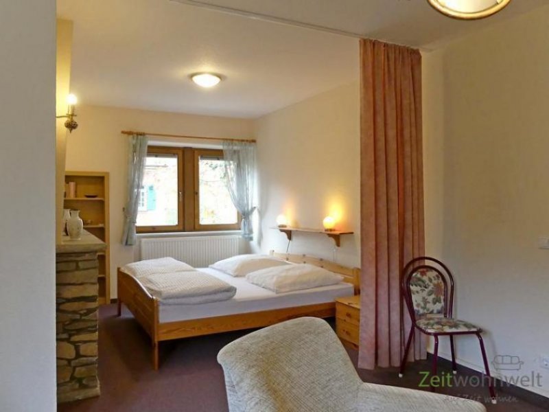 Dresden (EF0584_M) Dresden: Blasewitz, möblierte 1,5-Zimmer Wohnung zwischen Waldpark und Elbe Wohnung mieten