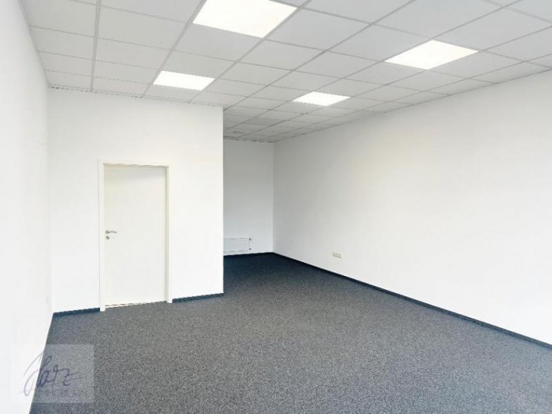 Nünchritz ***Lichtdurchflutete Gewerbeeinheit im Einkaufspark Nünchritz*** – perfekte Lage für Ihr Business! Gewerbe mieten