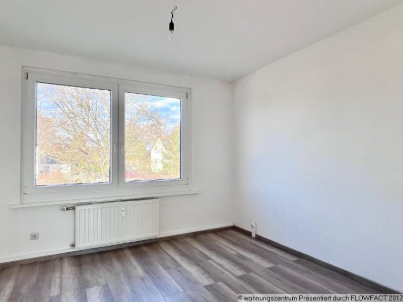 Klipphausen Hübsche helle 3-Zimmer-Wohnung, Einbauküche, Garage, Wannenbad! Wohnung mieten