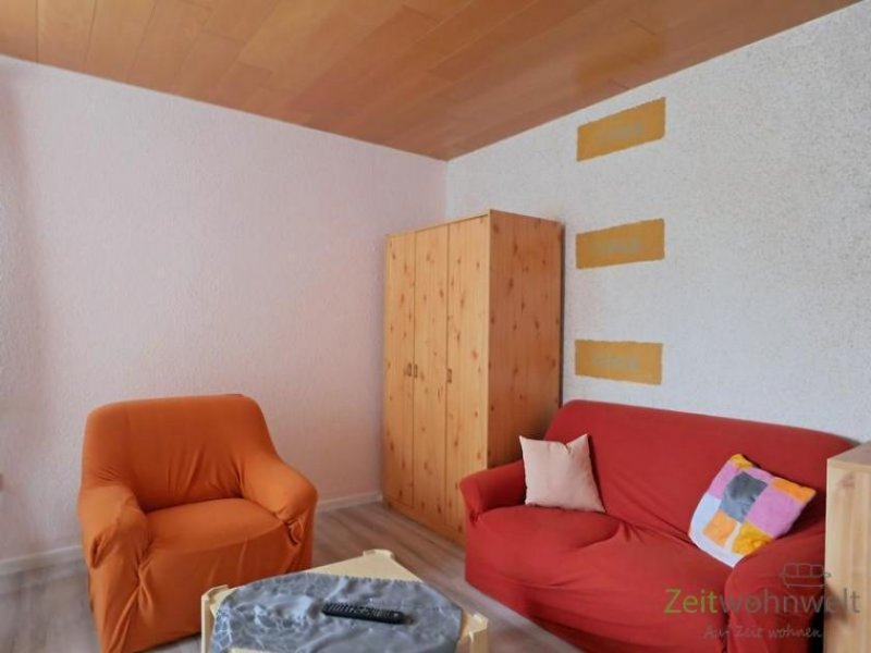 Freital (EF0946_M) Dresden: Freital, preiswertes möbliertes Apartment mit WLAN, PKW-Stellplatz inklusive Wohnung mieten