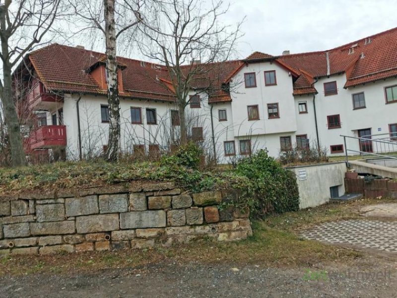 Bannewitz (EF1392_M) Dresden: Bannewitz, möblierte 2-Zimmer-Wohnung mit Terrasse, TG-Stellplatz inklusive Wohnung mieten