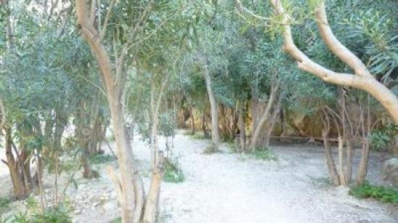 Benitachell Bed and Breakfast in Benitachell Spanien Gewerbe mieten