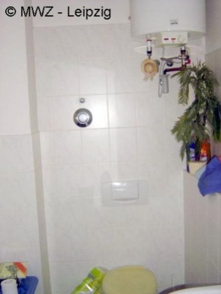 Leipzig helle, sonnige und ruhig gelegene sowie möblierte Zweiraumwohnung Wohnung mieten