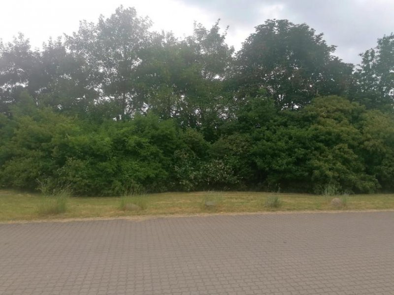 Leipzig Helle und freundliche 3 Zimmer Maisonettewohnung mit Balkon, Wannenbad und Tiefgaragenstellplatz Wohnung mieten