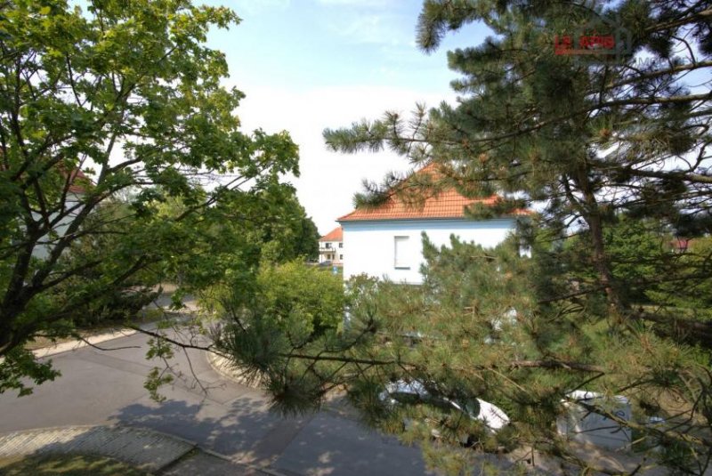 Borna GEMÜTLICHE, HELLE 2-RWG IM 1.OG M. TAGESLICHTBAD IN BELIEBTER U. GRÜNER LAGE VON BORNA Wohnung mieten
