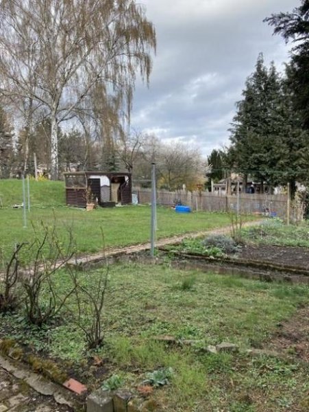 Roßwein Gemütliche 2-Zimmer mit Laminat und Wannenbad in ruhiger Lage! Wohnung mieten