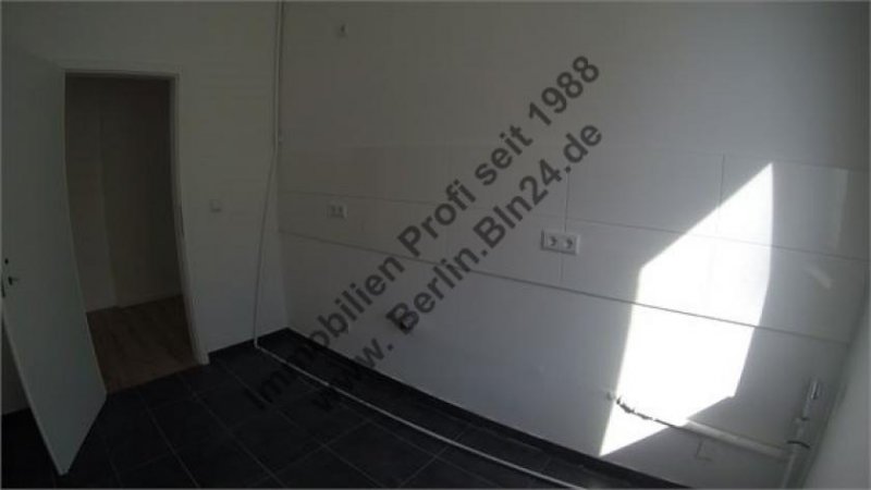 Halle (Saale) günstige - BEZUG nach Vollsanierung Wohnung mieten