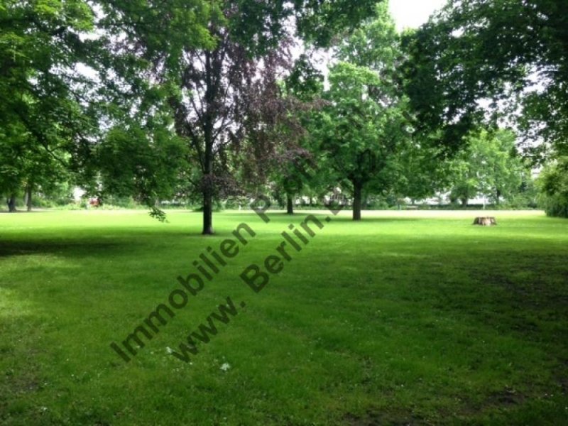 Halle (Saale) Halle +++ saniert +++ Mietwohnung - 2 Personenhaushalt Wohnung mieten