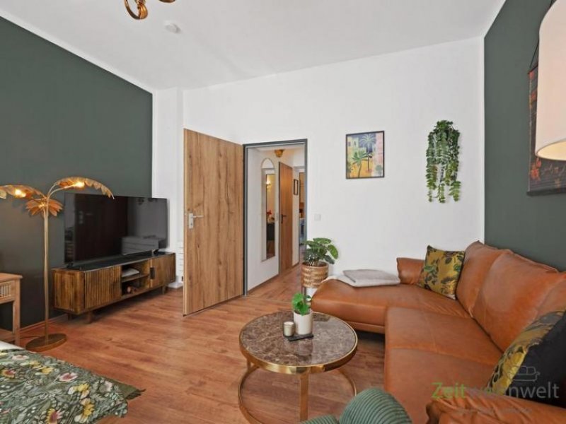 Halle (Saale) (EF1309_M) Halle: Innenstadt, möbliertes Apartment mit Stellplatz, sep. Küche, Balkon und Blick auf die Saale Wohnung mieten