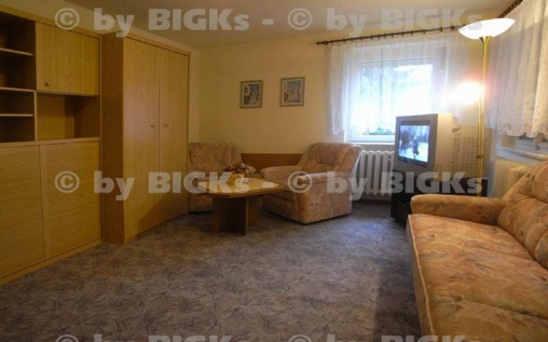 Halle (Saale) Halle-Dieselstr.: Möblierte 1,5-Zimmer Wohnung mit Gartenterrasse (-;) Wohnung mieten