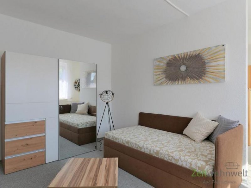 Halle (Saale) (EF1272_M) Halle: Reideburg, möbliertes Apartment mit sonniger Dachterrasse und separatem Zugang Wohnung mieten