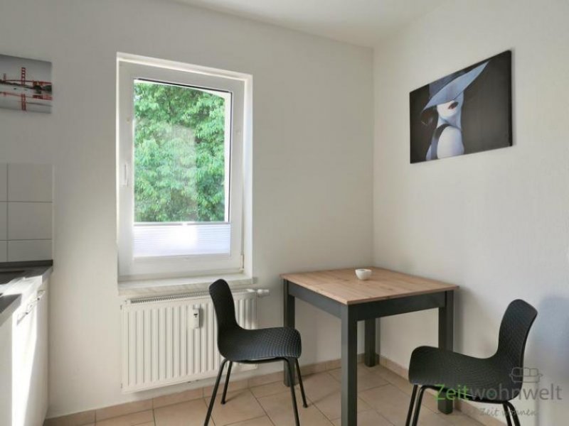 Halle (Saale) (EF1220_M) Halle: Trotha, Erstbezug in neu möblierte 3-Zimmer-Wohnung, Garten am Haus, Waschmaschine Wohnung mieten