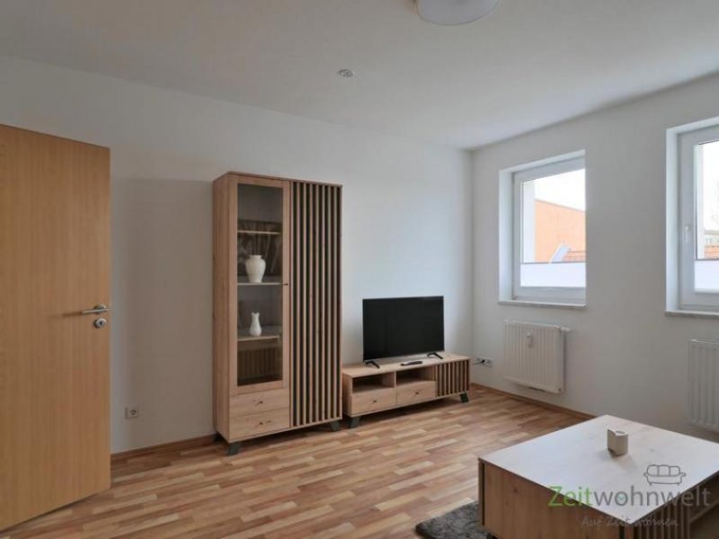 Halle (Saale) (EF1276_M) Halle: Trotha, große neu möblierte 6-Zimmer-Wohnung mit Garten, 2 Bädern, Waschmaschine, Stellplatz Wohnung mieten