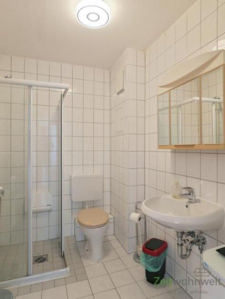 Halle (Saale) (EF1391_M) Halle: Ammendorf-Beesen, möbliertes kleines 2-Zimmer Apartment, Aufzug im Haus, USt auweisbar Wohnung mieten