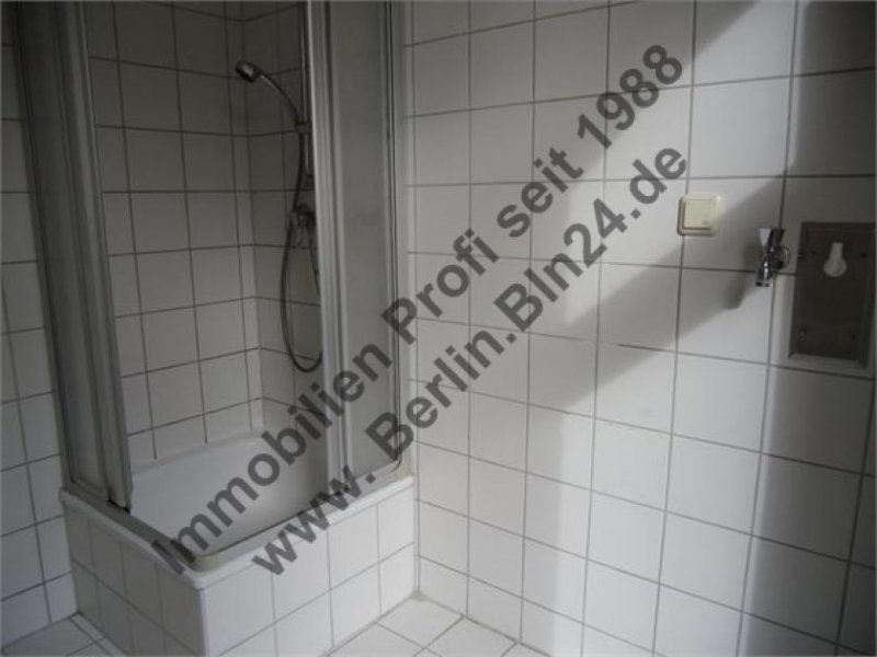 Halle (Saale) Halle - saniert Wohnung mieten