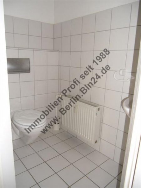 Halle (Saale) Mietwohnung - großes saniertes Dachgeschoß Wohnung mieten