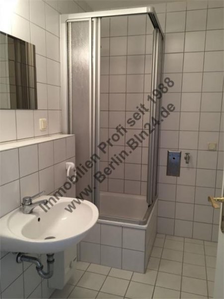 Halle (Saale) Mietwohnung - großes saniertes Dachgeschoß Wohnung mieten