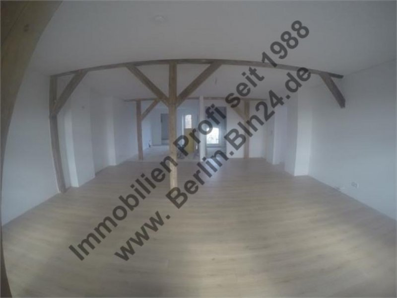 Halle (Saale) Mietwohnung- Loft - Dachgeschoß - Nähe - Lutherplatz Wohnung mieten