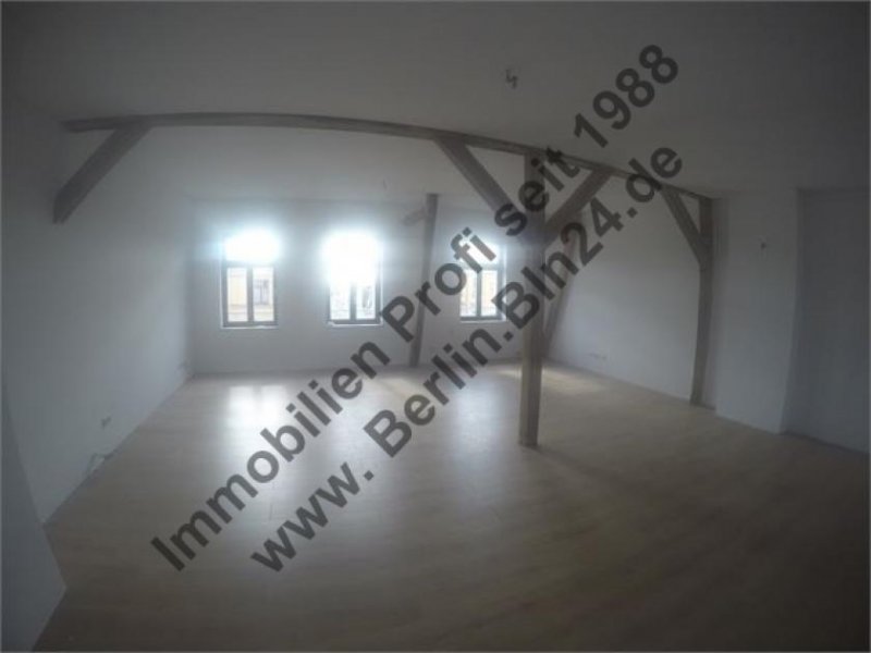 Halle (Saale) Mietwohnung- Loft - Dachgeschoß - Nähe - Lutherplatz Wohnung mieten