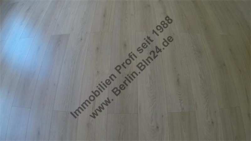 Halle (Saale) ZweitBezug nach Kernsanierung - Mietwohnung Wohnung mieten