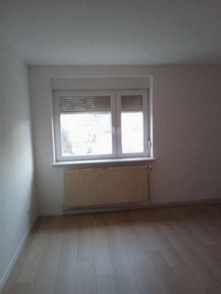 Brehna Gemütliche 2-Zimmer mit Dusche und Laminat in guter Lage! Garten mgl. Wohnung mieten