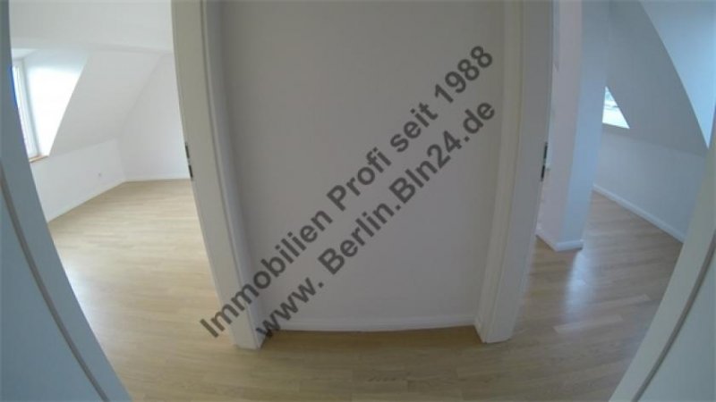 Wittenberg Wohnung - mieten - Dachgeschoß 4 Zimmer nach Vollsanierung Luxus Wohnung mieten