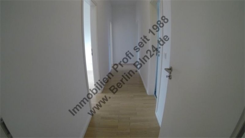 Wittenberg Wohnung - mieten - Dachgeschoß 4 Zimmer nach Vollsanierung Luxus Wohnung mieten