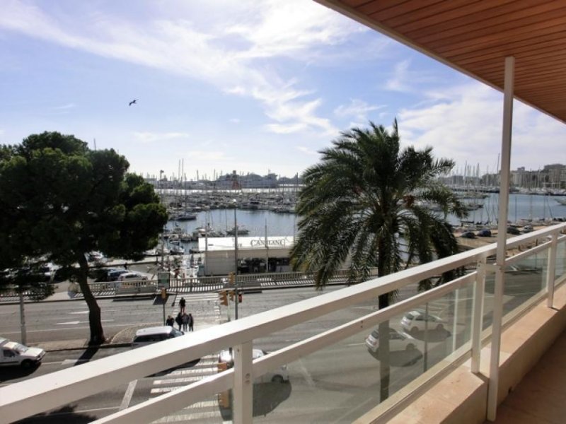 Palma de Mallorca Exklusive Wohnung direkt am Paseo Maritimo Wohnung mieten
