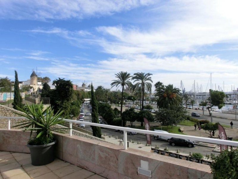 Palma de Mallorca Exklusive Wohnung direkt am Paseo Maritimo Wohnung mieten