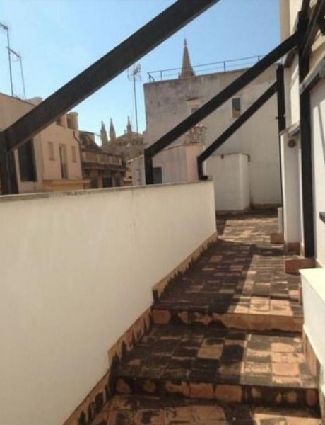 Palma de Mallorca Minimalistisches 170 qm DUPLEX und großer 100 qm Dachterrasse Wohnung mieten
