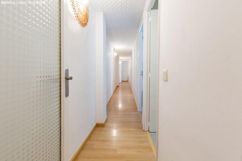 Palma de Mallorca neuwertiges Apartment mitten in der Altstadt von Palma Wohnung mieten