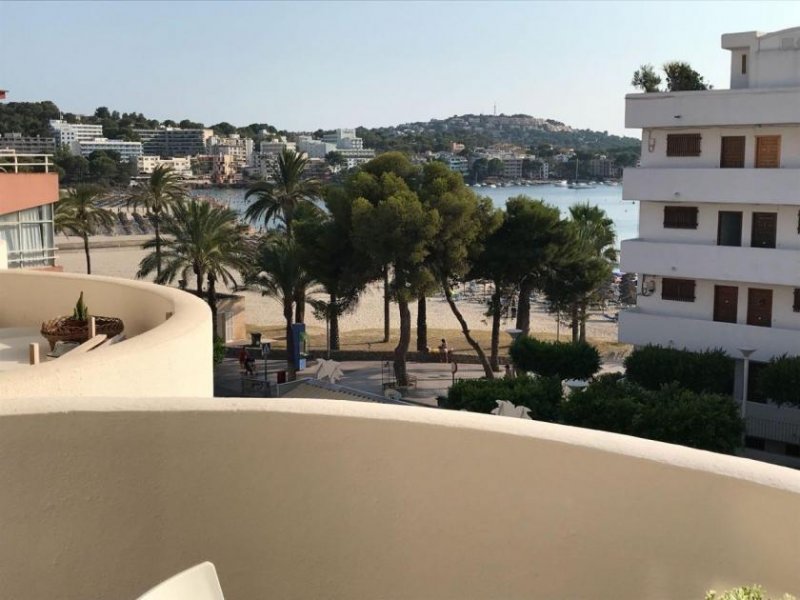 Santa Ponsa Studio in der ersten Meereilinie zu vermieten in Santa Ponsa Wohnung mieten
