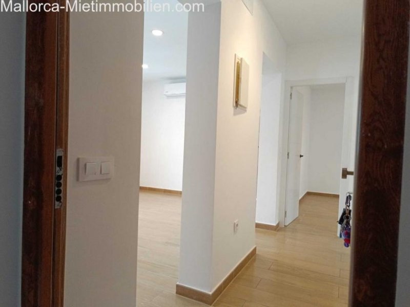 Felanitx Erstbezug - moderne Wohnung mit privater Dachterrasse in Felanitx Wohnung mieten