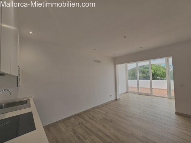 Cala Dor Ap ERSTBEZUG Cala Dor,, Terrasse, bzw.Wintergarten AP D Wohnung mieten