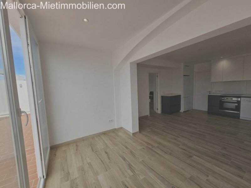 Cala Dor Ap ERSTBEZUG Cala Dor,, Terrasse, bzw.Wintergarten AP D Wohnung mieten