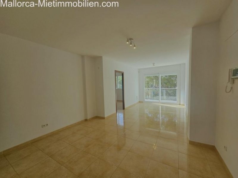 Portocristo Wohnung, priv.Dachterrasse, Abtellraum und Tiefgaragenparkplatz in Pcristo Wohnung mieten