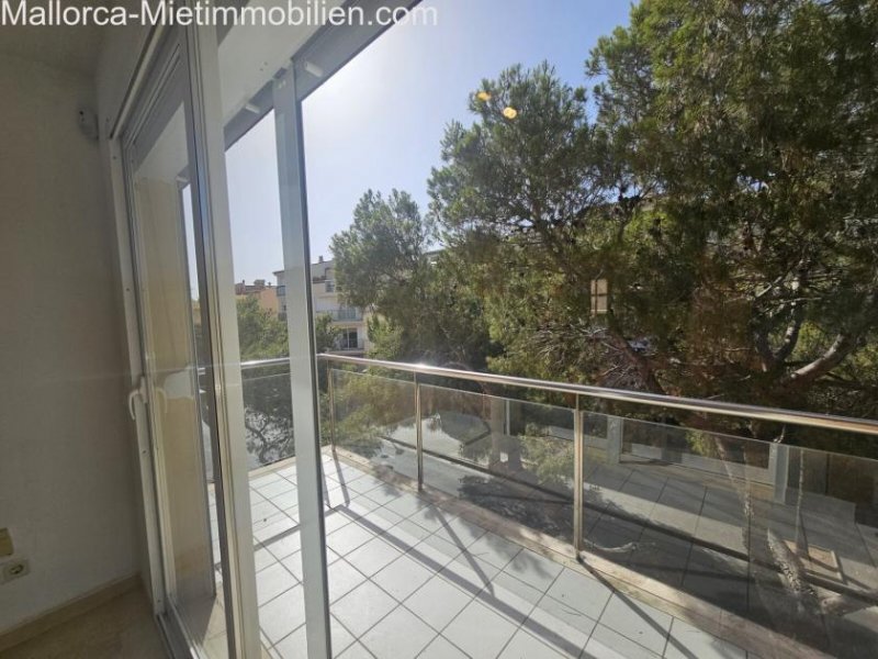 Portocristo Wohnung, priv.Dachterrasse, Abtellraum und Tiefgaragenparkplatz in Pcristo Wohnung mieten