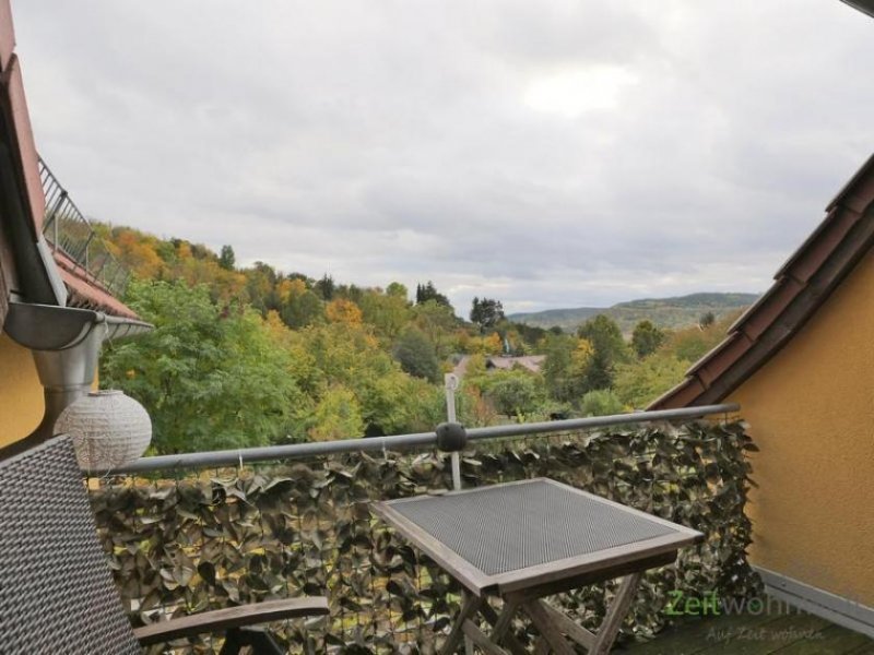 Jena (EF1086_M) Jena: Wöllnitz, kleine möblierte Haushälfte in grüner Randlage mit Balkon, WLAN und Fahrrad Wohnung mieten