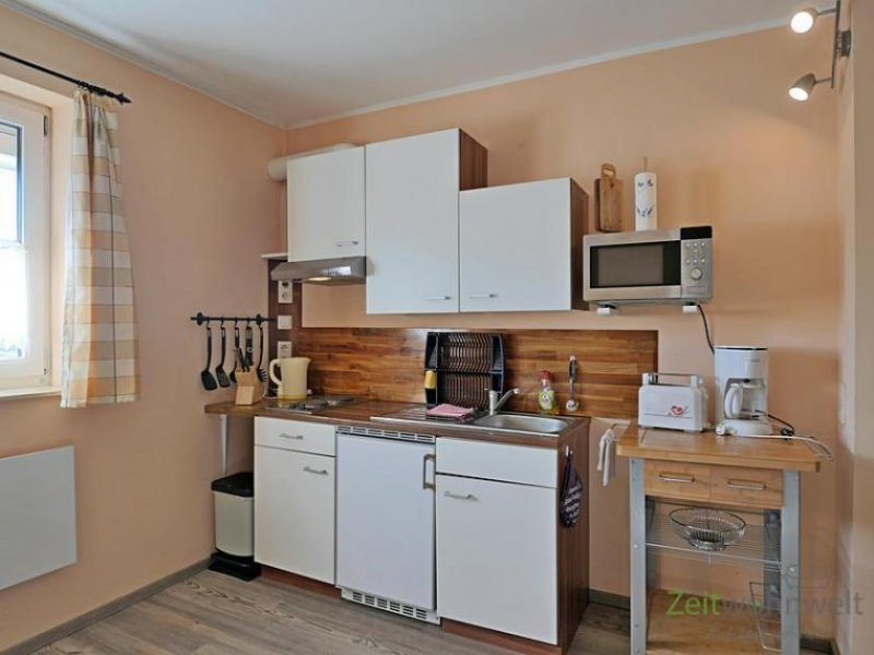 Lehesten (Saale-Holzland-Kreis) (EF0652_M) Jena: Lehesten, möbliertes kleines Apartment mit Blick in den Garten, für Wochenendheimfahrer Wohnung mieten