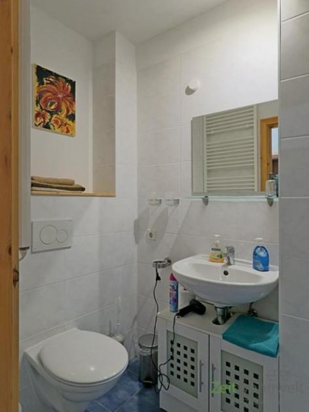 Lehesten (Saale-Holzland-Kreis) (EF0652_M) Jena: Lehesten, möbliertes kleines Apartment mit Blick in den Garten, für Wochenendheimfahrer Wohnung mieten