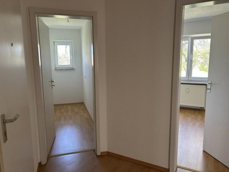 Zwickau 3-Raum-Wohnung Nähe Muldenaue. 1.OG, Balkon, TG-Stellplatz Wohnung mieten