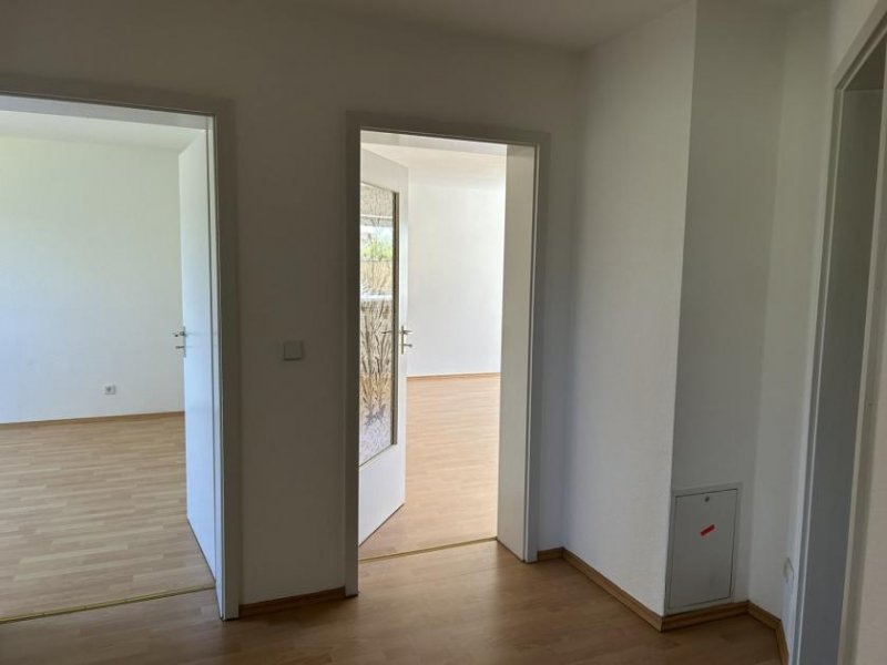 Zwickau 3-Raum-Wohnung Nähe Muldenaue. 1.OG, Balkon, TG-Stellplatz Wohnung mieten